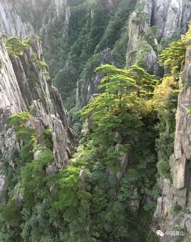 我的世界记忆卡